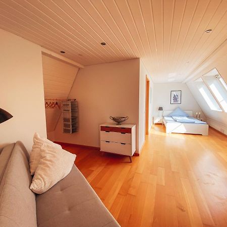 Rheinloft 3 - Grosse Giebelwohnung Mit Dachterrassen An Der Rheinpromenade Эммерих Экстерьер фото